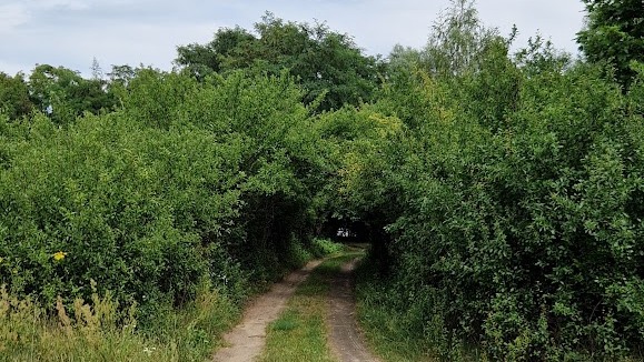 Zdjęcie 1